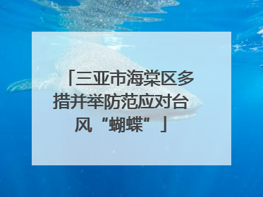 三亚市海棠区多措并举防范应对台风“蝴蝶”