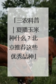 三农科普｜夏播玉米种什么？北京推荐这些优秀品种