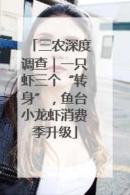 三农深度调查｜一只虾三个“转身”，鱼台小龙虾消费季升级