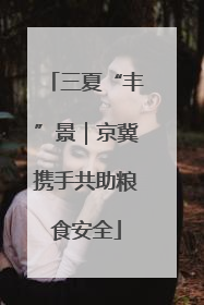 三夏“丰”景｜京冀携手共助粮食安全