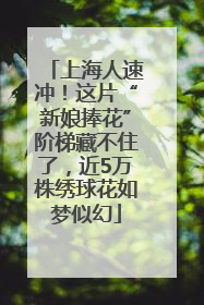 上海人速冲！这片“新娘捧花”阶梯藏不住了，近5万株绣球花如梦似幻