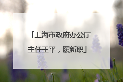 上海市政府办公厅主任王平，履新职