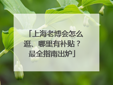 上海老博会怎么逛、哪里有补贴？最全指南出炉