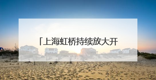 上海虹桥持续放大开放新模式，加强海外发展服务中心建设