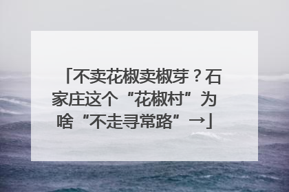 不卖花椒卖椒芽？石家庄这个“花椒村”为啥“不走寻常路”→