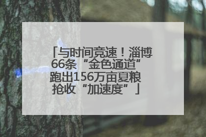 与时间竞速！淄博66条“金色通道”跑出156万亩夏粮抢收“加速度”