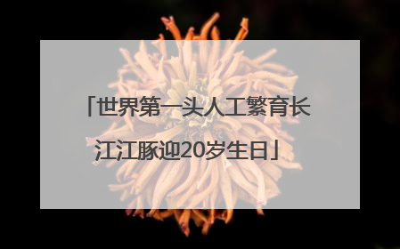 世界第一头人工繁育长江江豚迎20岁生日