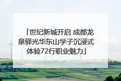 世纪新城开启 成都龙泉驿光华东山学子沉浸式体验72行职业魅力