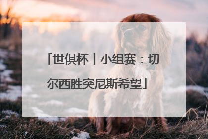 世俱杯丨小组赛：切尔西胜突尼斯希望