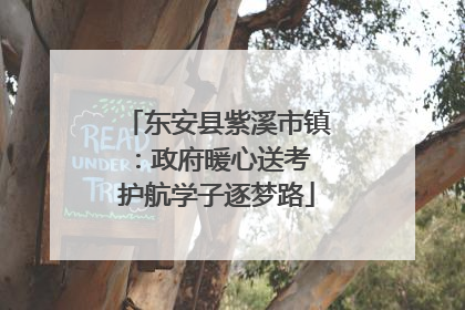 东安县紫溪市镇：政府暖心送考 护航学子逐梦路