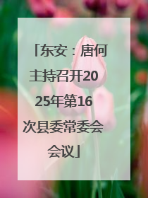 东安：唐何主持召开2025年第16次县委常委会会议
