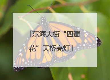 东海大街“四瓣花”天桥亮灯
