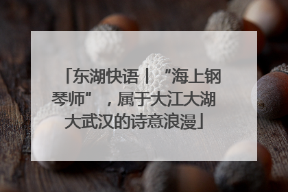 东湖快语丨“海上钢琴师”，属于大江大湖大武汉的诗意浪漫