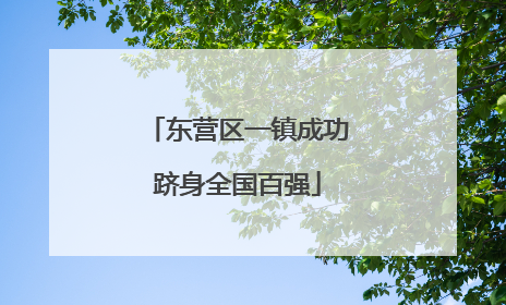 东营区一镇成功跻身全国百强