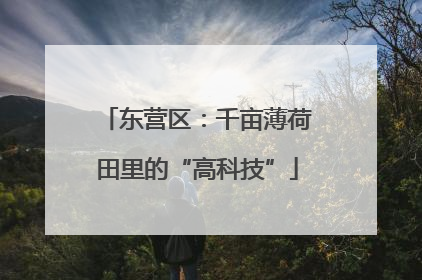 东营区：千亩薄荷田里的“高科技”