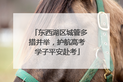东西湖区城管多措并举，护航高考学子平安赴考