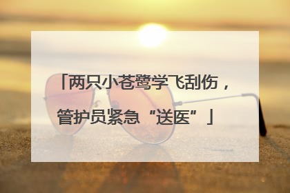 两只小苍鹭学飞刮伤，管护员紧急“送医”