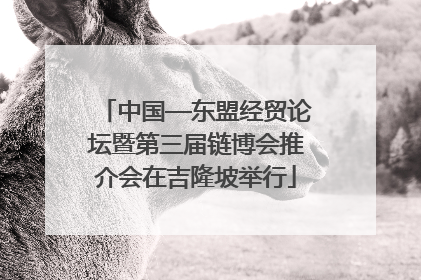 中国—东盟经贸论坛暨第三届链博会推介会在吉隆坡举行
