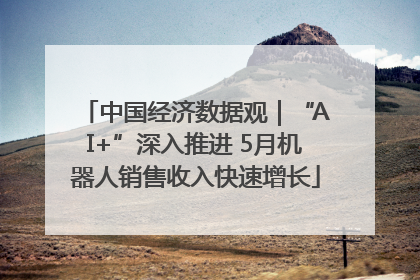 中国经济数据观｜“AI+”深入推进 5月机器人销售收入快速增长