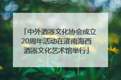 中外酒器文化协会成立20周年活动在灌南海西酒器文化艺术馆举行