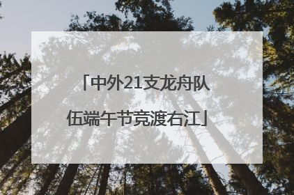 中外21支龙舟队伍端午节竞渡右江
