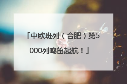 中欧班列（合肥）第5000列鸣笛起航！