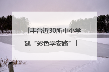丰台近30所中小学建“彩色学安路”