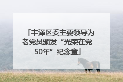 丰泽区委主要领导为老党员颁发“光荣在党50年”纪念章