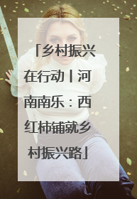 乡村振兴在行动丨河南南乐：西红柿铺就乡村振兴路