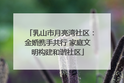 乳山市月亮湾社区：金婚携手共行 家庭文明构建和谐社区