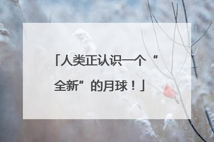人类正认识一个“全新”的月球！