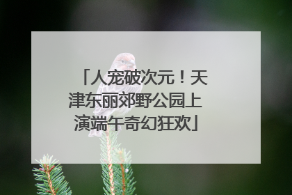 人宠破次元！天津东丽郊野公园上演端午奇幻狂欢