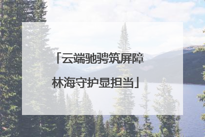 云端驰骋筑屏障 林海守护显担当