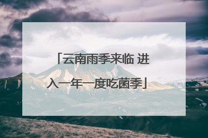 云南雨季来临 进入一年一度吃菌季