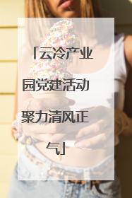 云冷产业园党建活动聚力清风正气