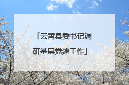 云霄县委书记调研基层党建工作