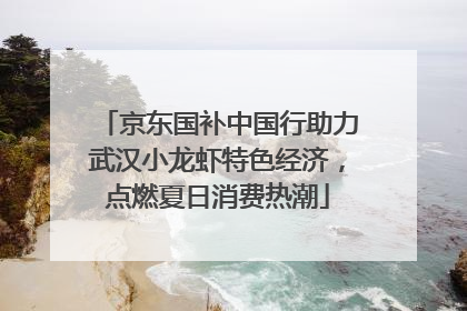 京东国补中国行助力武汉小龙虾特色经济，点燃夏日消费热潮