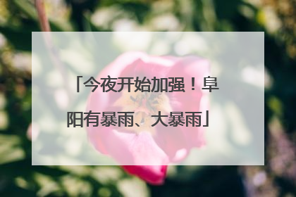 今夜开始加强！阜阳有暴雨、大暴雨