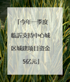 今年一季度 临沂支持中心城区城建项目资金5亿元