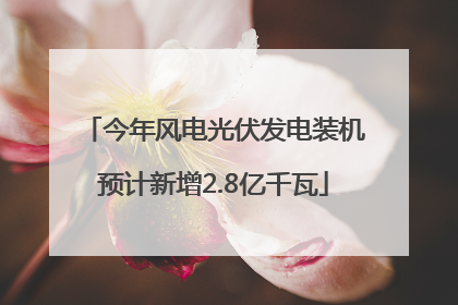 今年风电光伏发电装机预计新增2.8亿千瓦