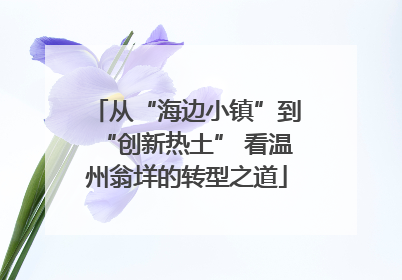 从“海边小镇”到“创新热土” 看温州翁垟的转型之道