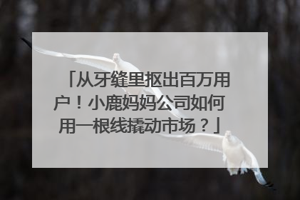 从牙缝里抠出百万用户！小鹿妈妈公司如何用一根线撬动市场？