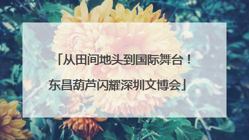 从田间地头到国际舞台！东昌葫芦闪耀深圳文博会