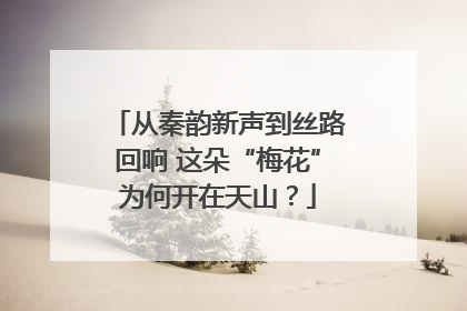从秦韵新声到丝路回响 这朵“梅花”为何开在天山？