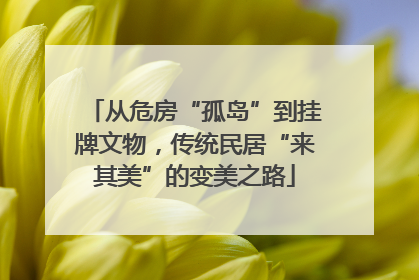 从危房“孤岛”到挂牌文物，传统民居“来其美”的变美之路
