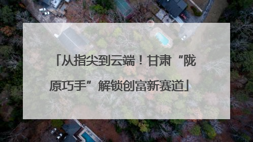从指尖到云端！甘肃“陇原巧手”解锁创富新赛道