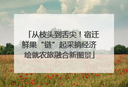 从枝头到舌尖！宿迁鲜果“链”起采摘经济绘就农旅融合新图景