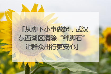 从脚下小事做起，武汉东西湖区清除“绊脚石”让群众出行更安心