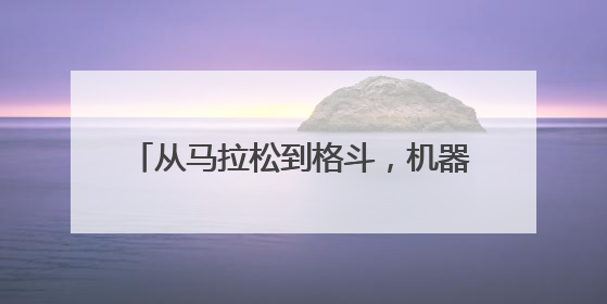 从马拉松到格斗，机器人为啥都爱搞体育？