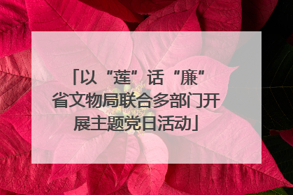 以“莲”话“廉” 省文物局联合多部门开展主题党日活动